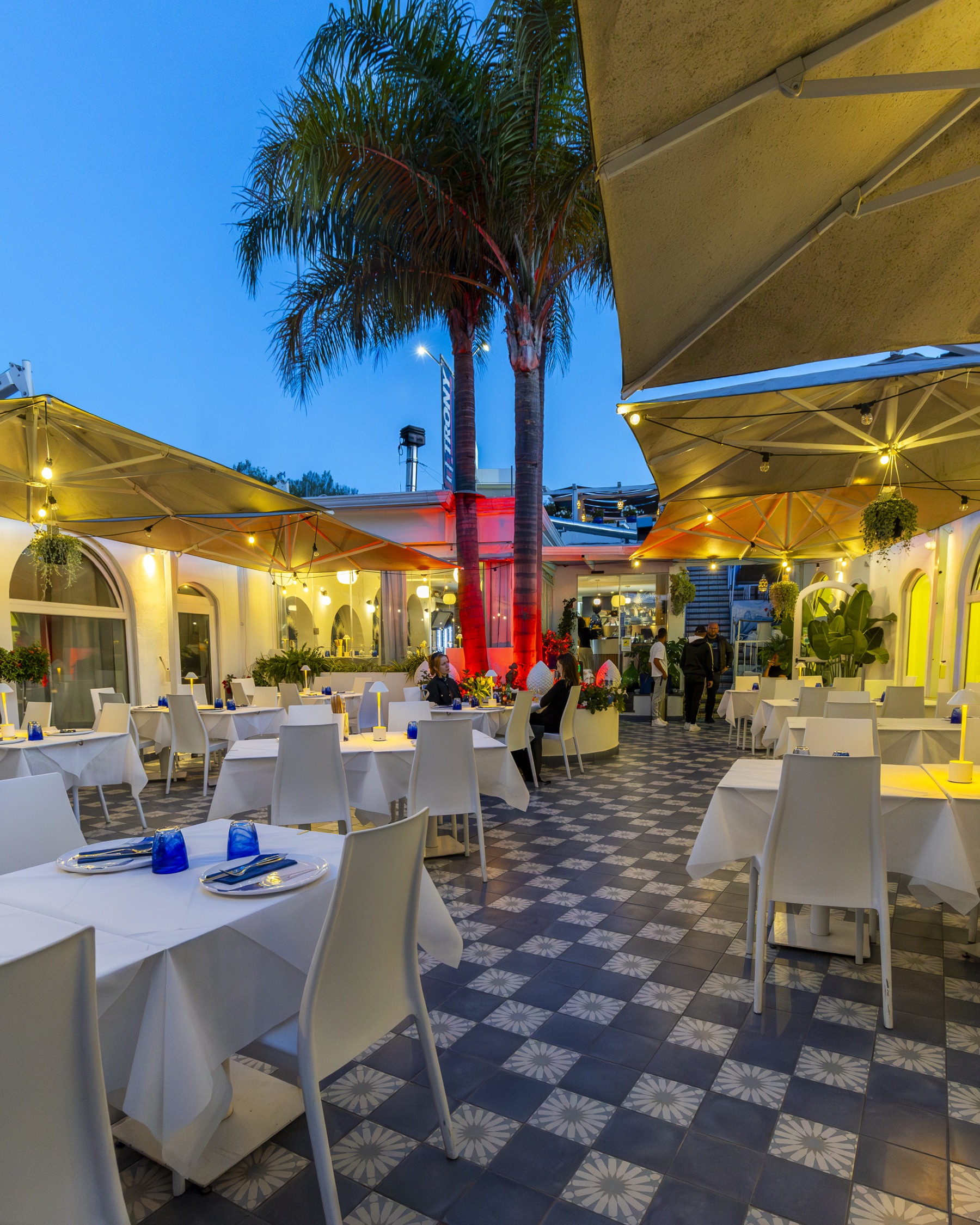Terrazza con palme